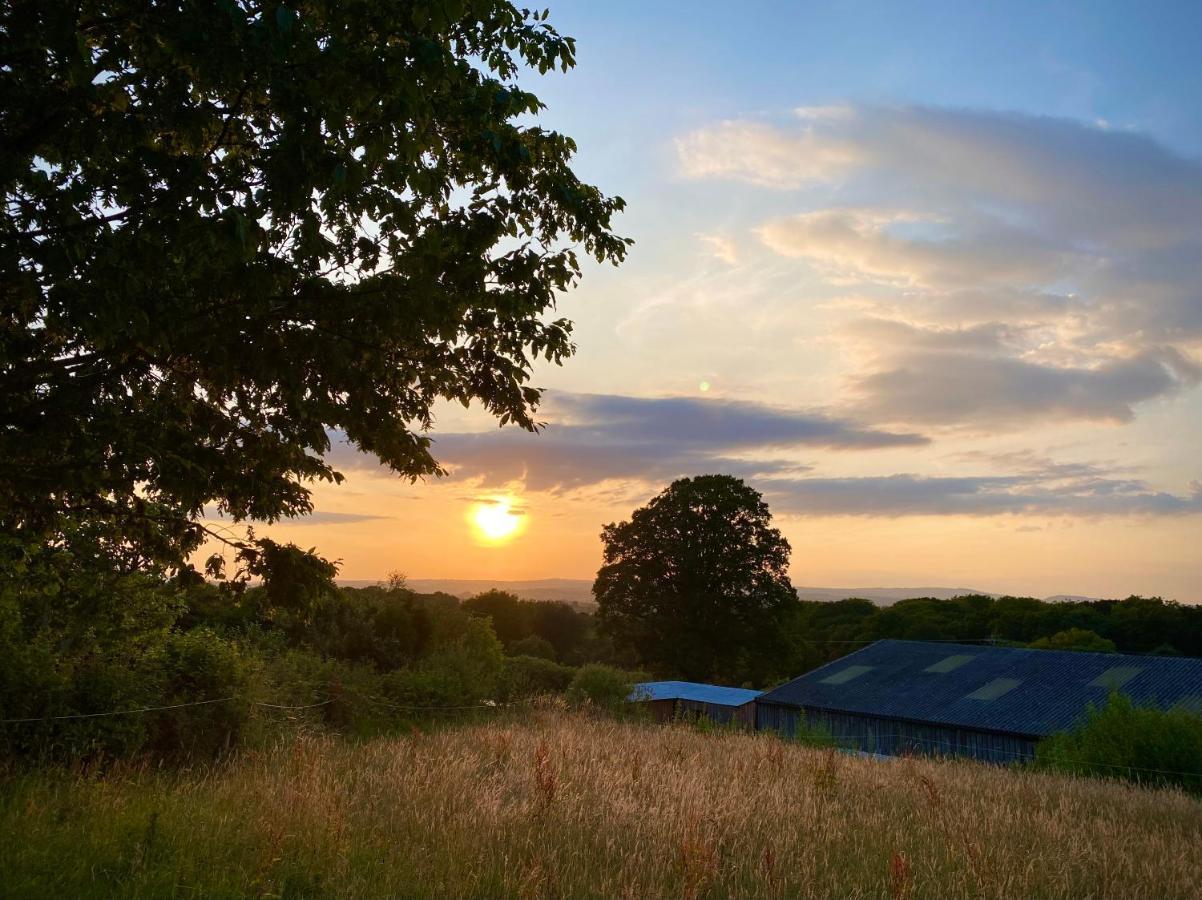 Cherry Tree Glamping Lodge Wellington  Eksteriør bilde